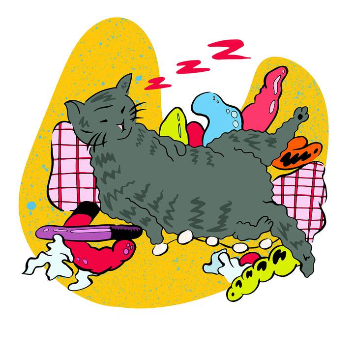 orgy cat