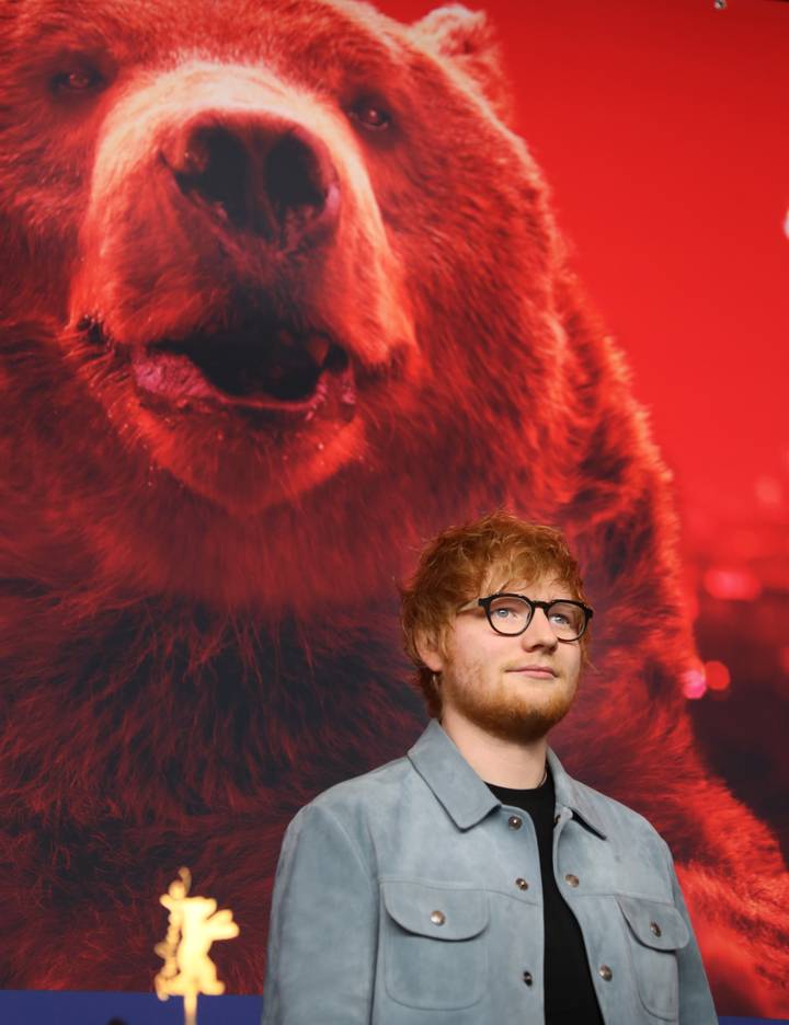ed sheeran bear